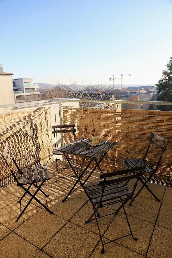 Apartman Merhautova Apartament Brno